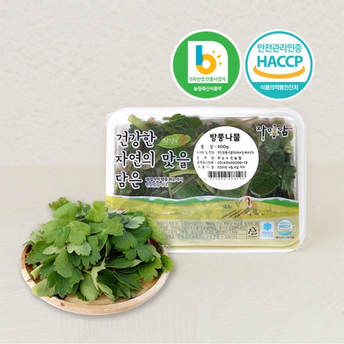 해풍 맞은 고흥산 냉동 방풍나물 400g/1kg